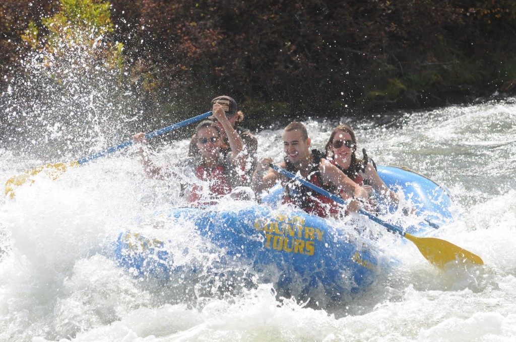 PicThrive - Tour Photo Sales - Sun Country Tours